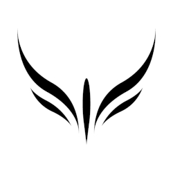 Beyond Aero